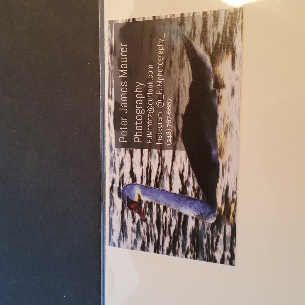 Hummingbird print 1/250 Peter James Maurer . - Picture 7 of 8